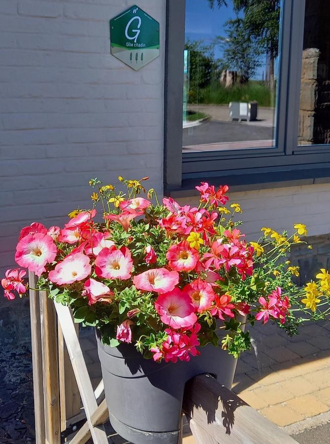 Gite Citadin 3 Epis "Carpe Diem" Villa Bastogne Luaran gambar
