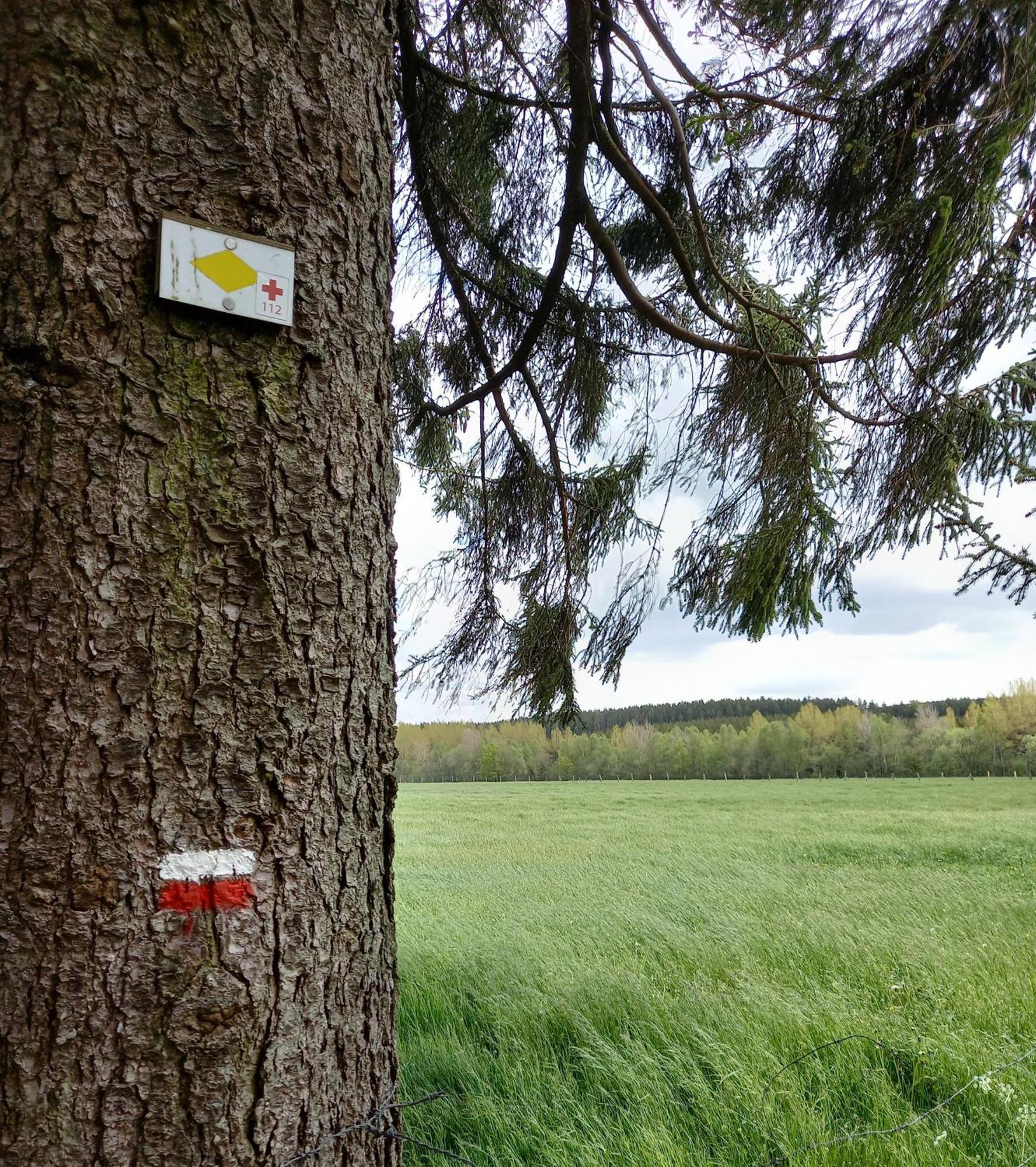 Gite Citadin 3 Epis "Carpe Diem" Villa Bastogne Bilik gambar